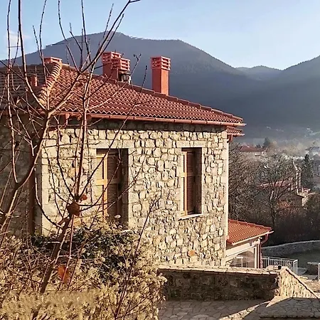 Anastasia's Arcadia 비티나