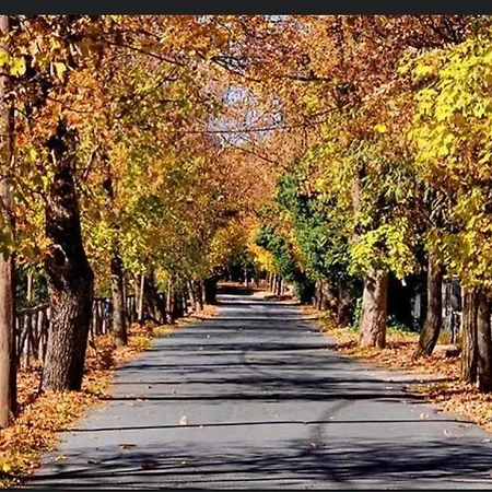 게스트하우스 Anastasia's Arcadia 비티나