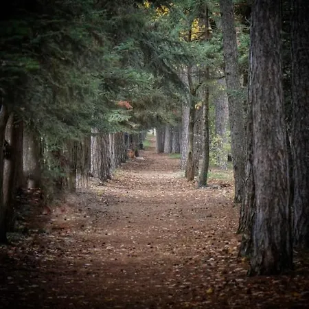 Anastasia's Arcadia 게스트하우스