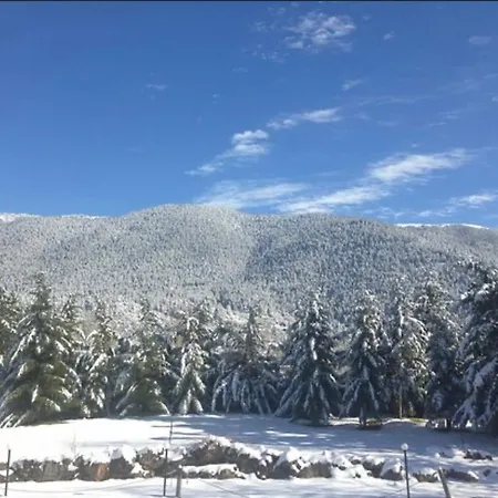 게스트하우스 Anastasia's Arcadia 4*