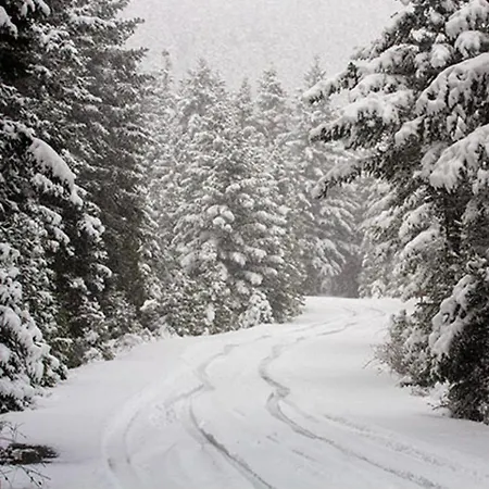 게스트하우스 Anastasia's Arcadia 4*