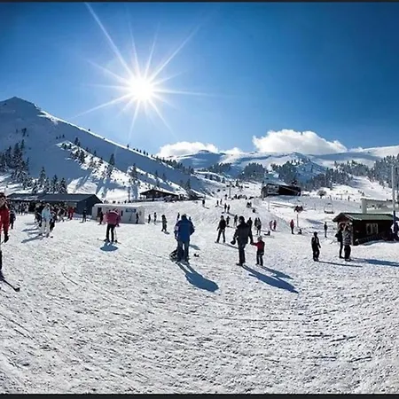 Anastasia's Arcadia 비티나