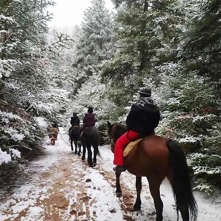 招待所 Anastasia's Arcadia 4*