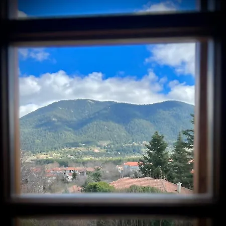 Anastasia's Arcadia 게스트하우스