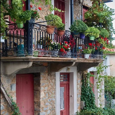 Anastasia's Arcadia 게스트하우스 비티나