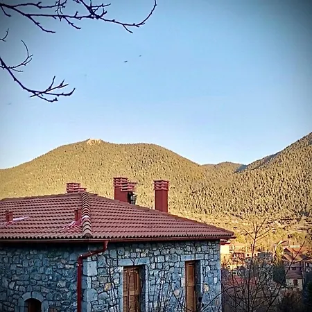 Anastasia's Arcadia Vitina