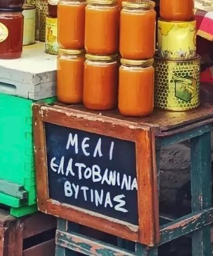 Anastasia's Arcadia Vytina