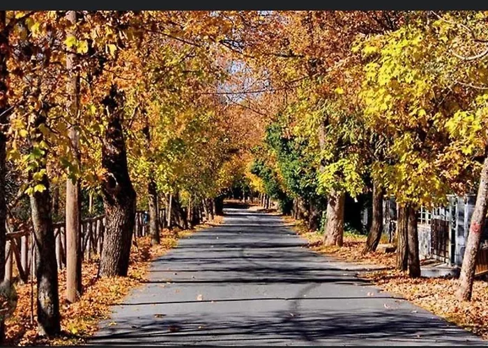 Pensionat Anastasia's Arcadia Vytina