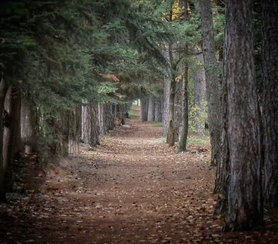 Anastasia's Arcadia Konukevi