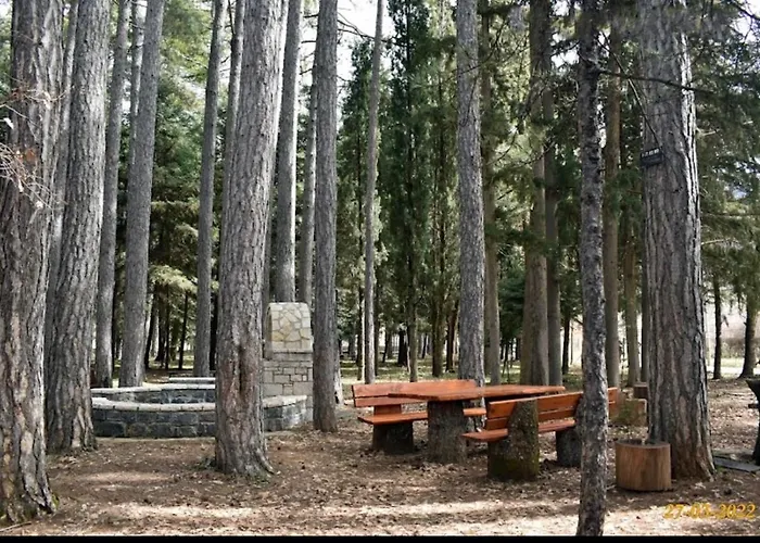 Anastasia's Arcadia Vitina