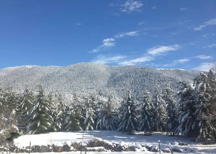 Konukevi Anastasia's Arcadia 4*