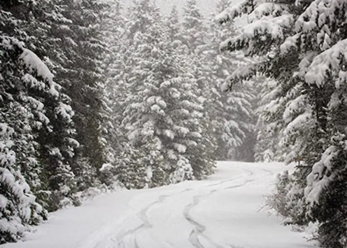 Konukevi Anastasia's Arcadia 4*