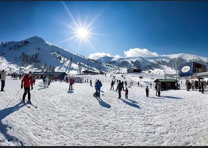 Anastasia's Arcadia Vitina