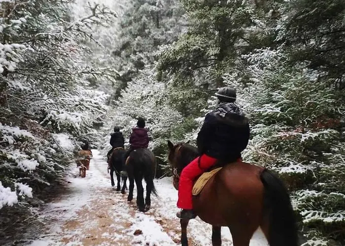 Konukevi Anastasia's Arcadia 4*