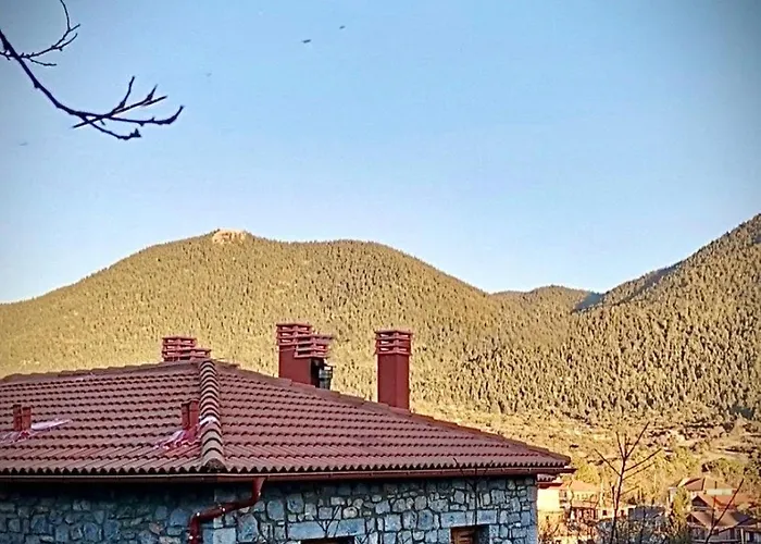 Anastasia's Arcadia Vytina